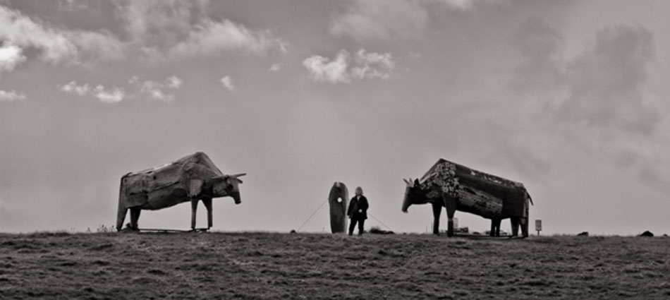 Gathering at Uisneach